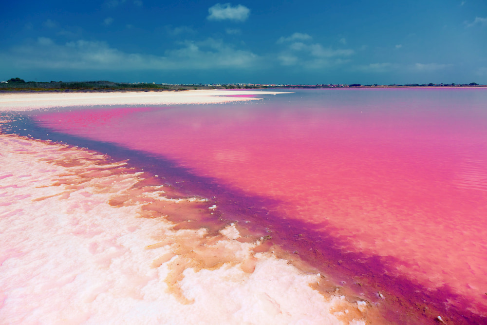 Laguna Salada de Torrevieja