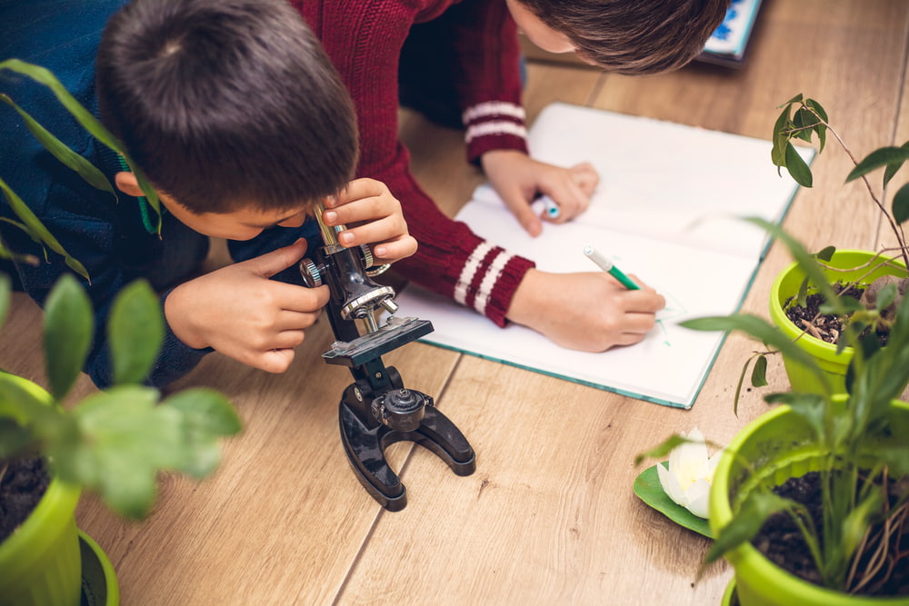 Дети на занятиях с микроскопом