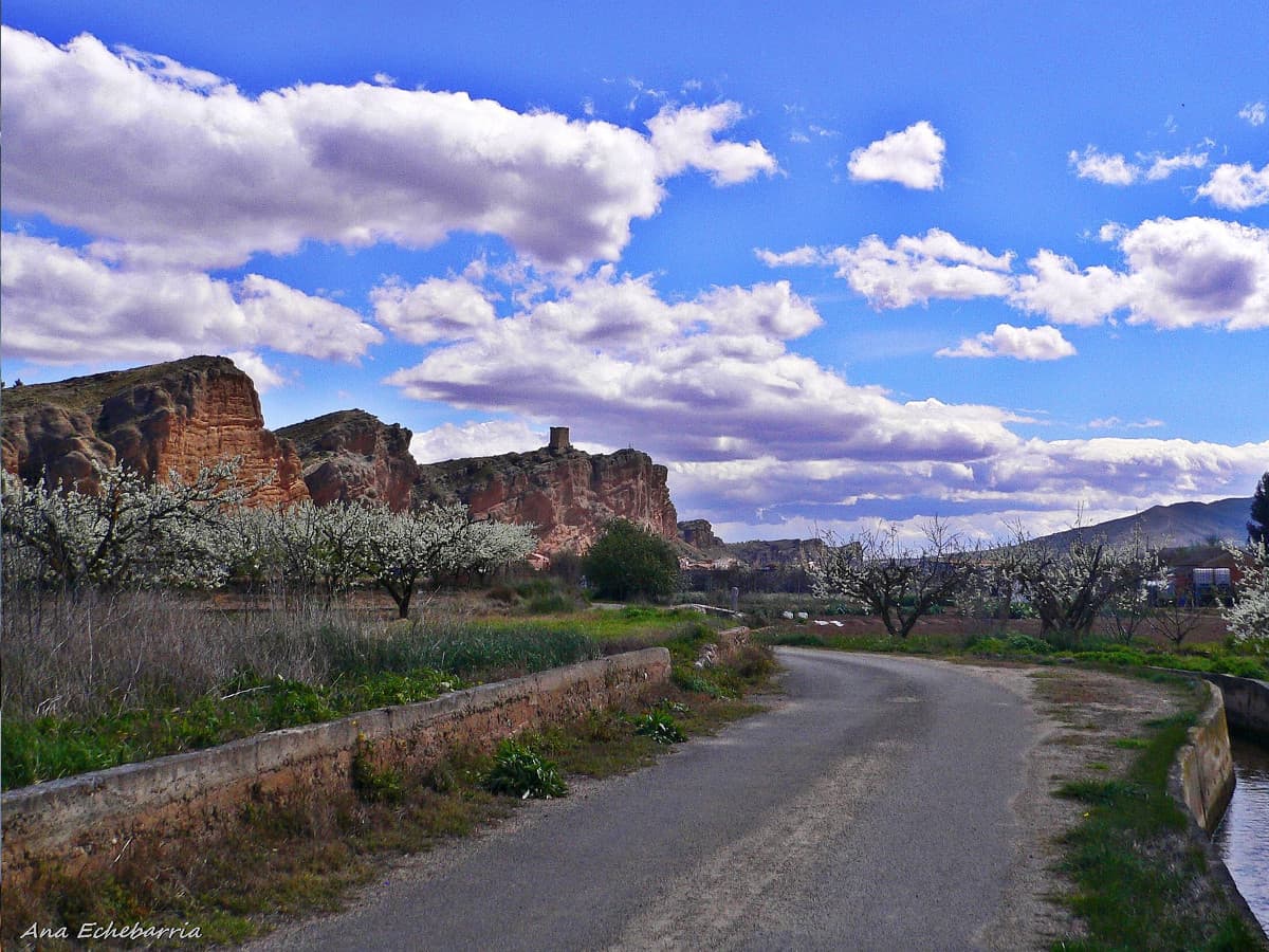 Фото "Paseos del mes de abríl" , автор Ana Echebarria, место Quel, La Rioja, España