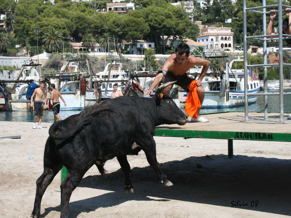 Bous a la Mar в Дении прыжки в воду с быками