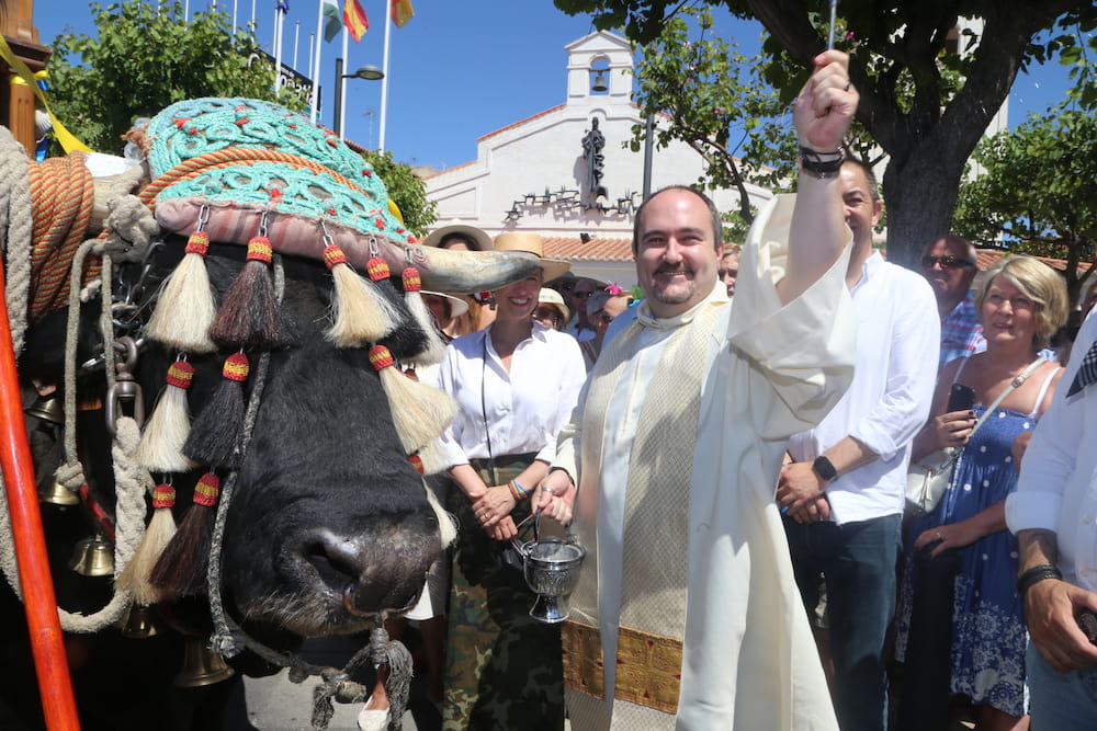 Священник с нарядным быком