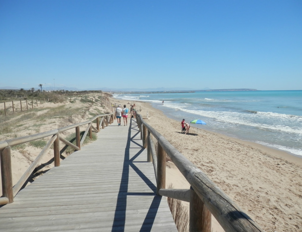 Playa los Viveros