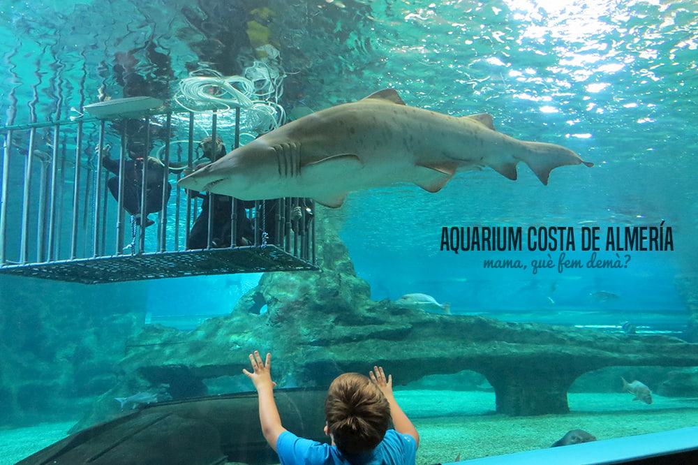 Aquarium Costa de Almería​